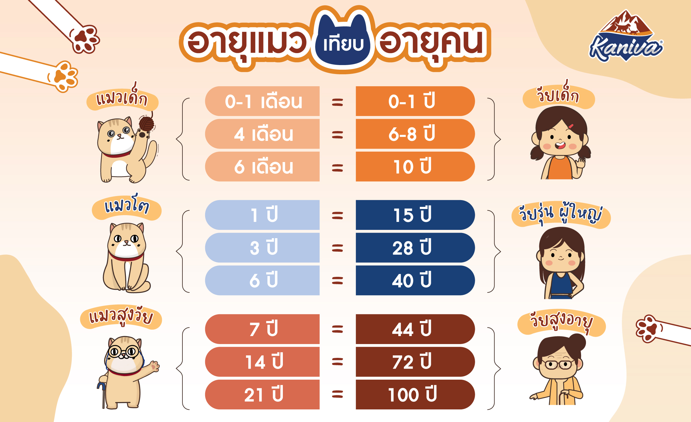 อายุแมวเมื่อเทียบกับคน: แมวของคุณอายุเท่าไหร่ในโลกของมนุษย์?