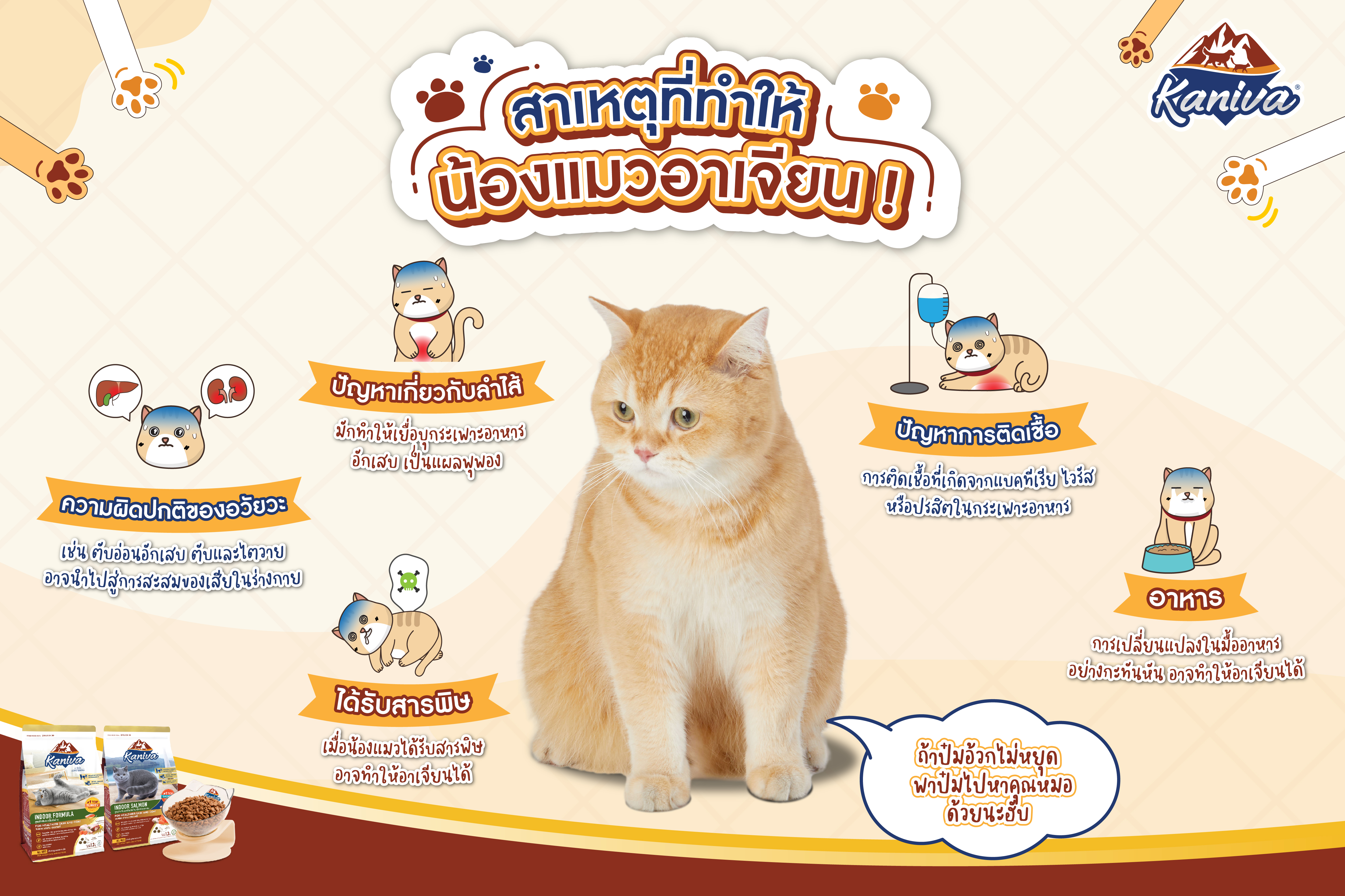 สาเหตุที่ทำให้น้องแมวอาเจียน