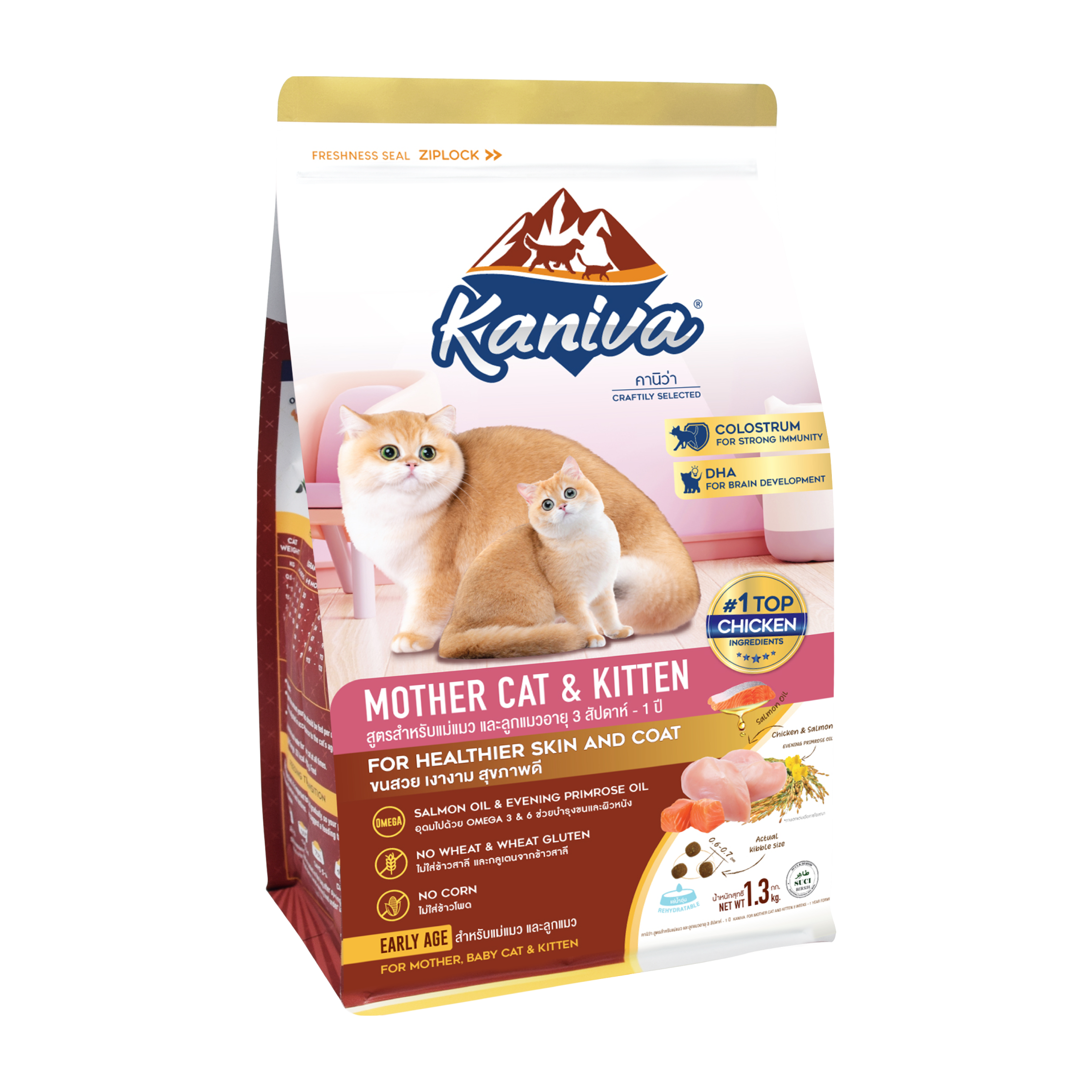Kaniva Mother Cat and Kitten 3 Weeks – 1 Year