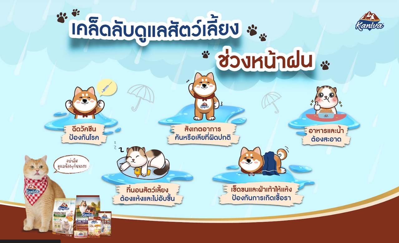 เคล็ดลับดูแลสัตว์เลี้ยงช่วงหน้าฝน