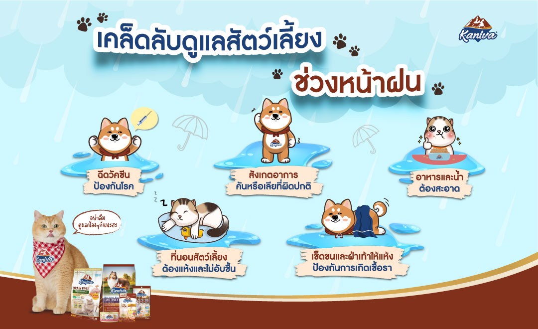 เคล็ดลับดูแลสัตว์เลี้ยงช่วงหน้าฝน