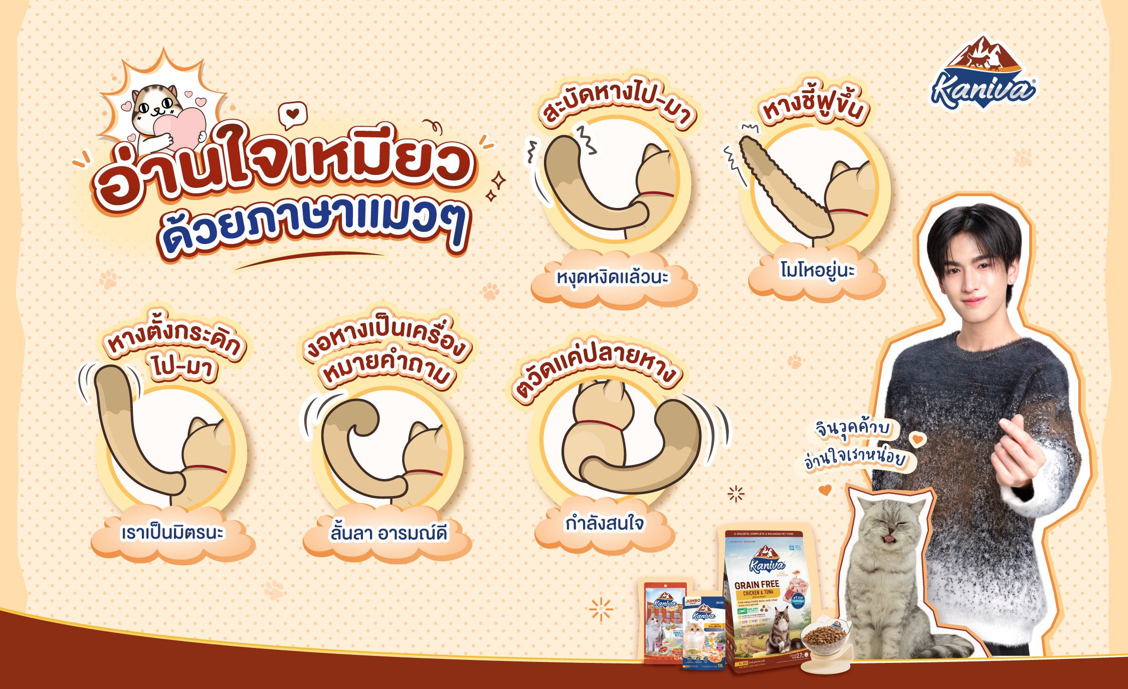 อ่านใจเหมียวด้วยภาษาแมวๆ 