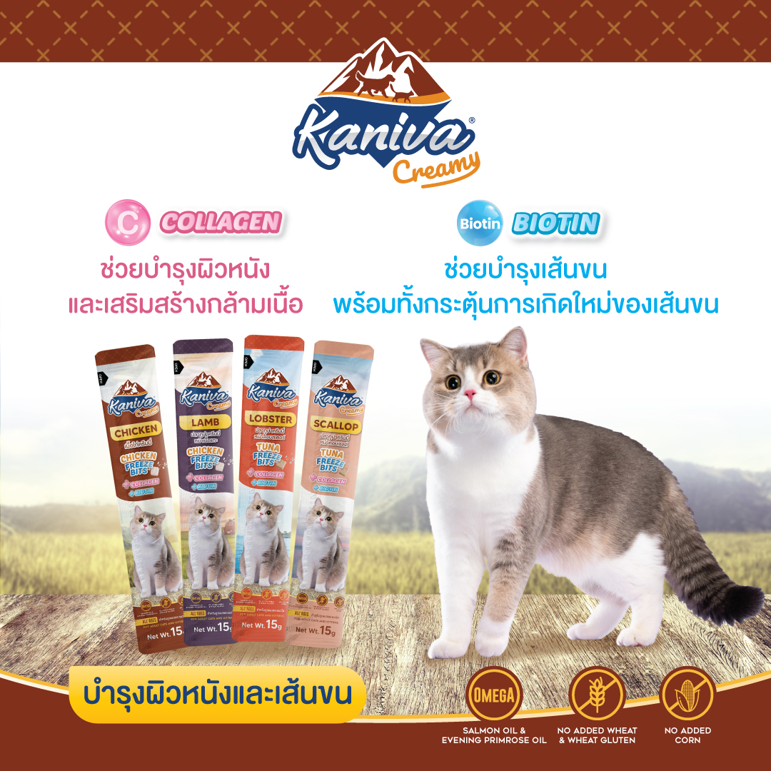 ขนมแมวเลียคานิว่าครีมมี่ สูตรปลาทูน่าหน้าหอยเซลล์