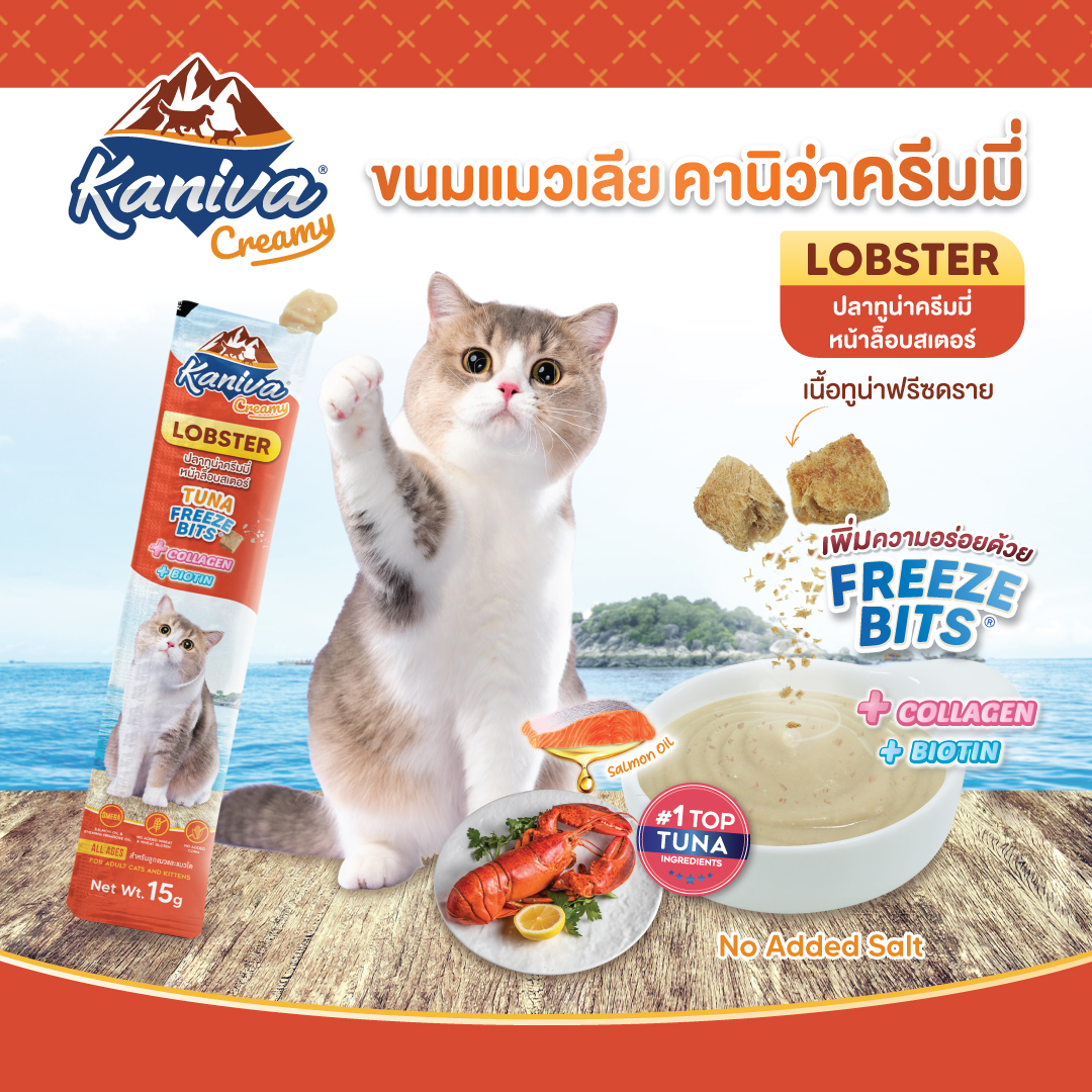 ขนมแมวเลียคานิว่าครีมมี่ สูตรปลาทูน่าหน้าล็อบสเตอร์