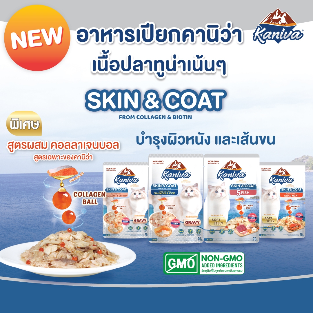 อาหารแมวคานิว่าชนิดเปียก สกินแอนด์โคท สูตรปลาทูน่าหน้าหอยเชลล์และเนื้อกุ้งในน้ำเกรวี่ ผสมคอลลาเจนบอล บำรุงผิวหนังและเส้นขน