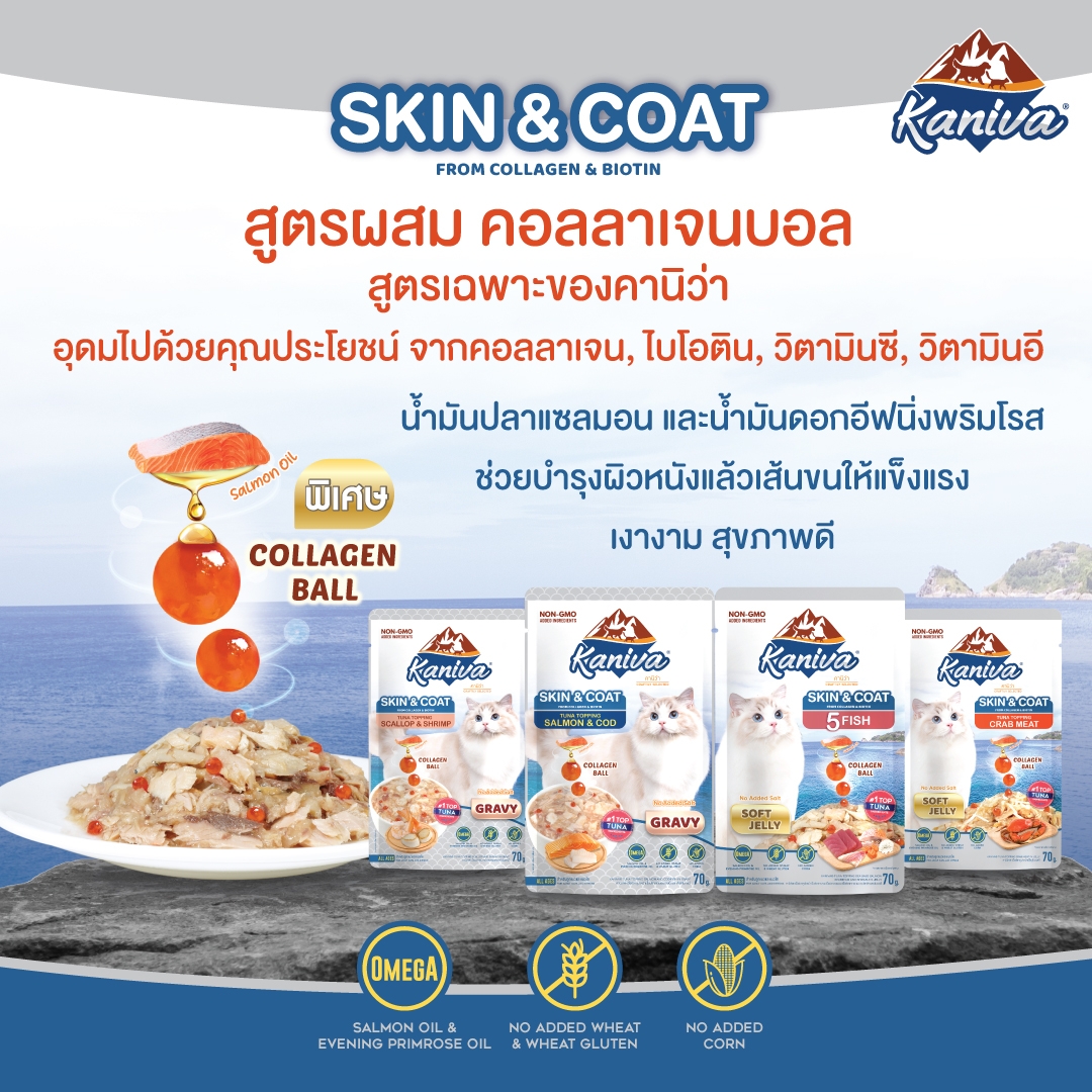 อาหารแมวคานิว่าชนิดเปียก สกินแอนด์โคท สูตรปลาทูน่าหน้าหอยเชลล์และเนื้อกุ้งในน้ำเกรวี่ ผสมคอลลาเจนบอล บำรุงผิวหนังและเส้นขน