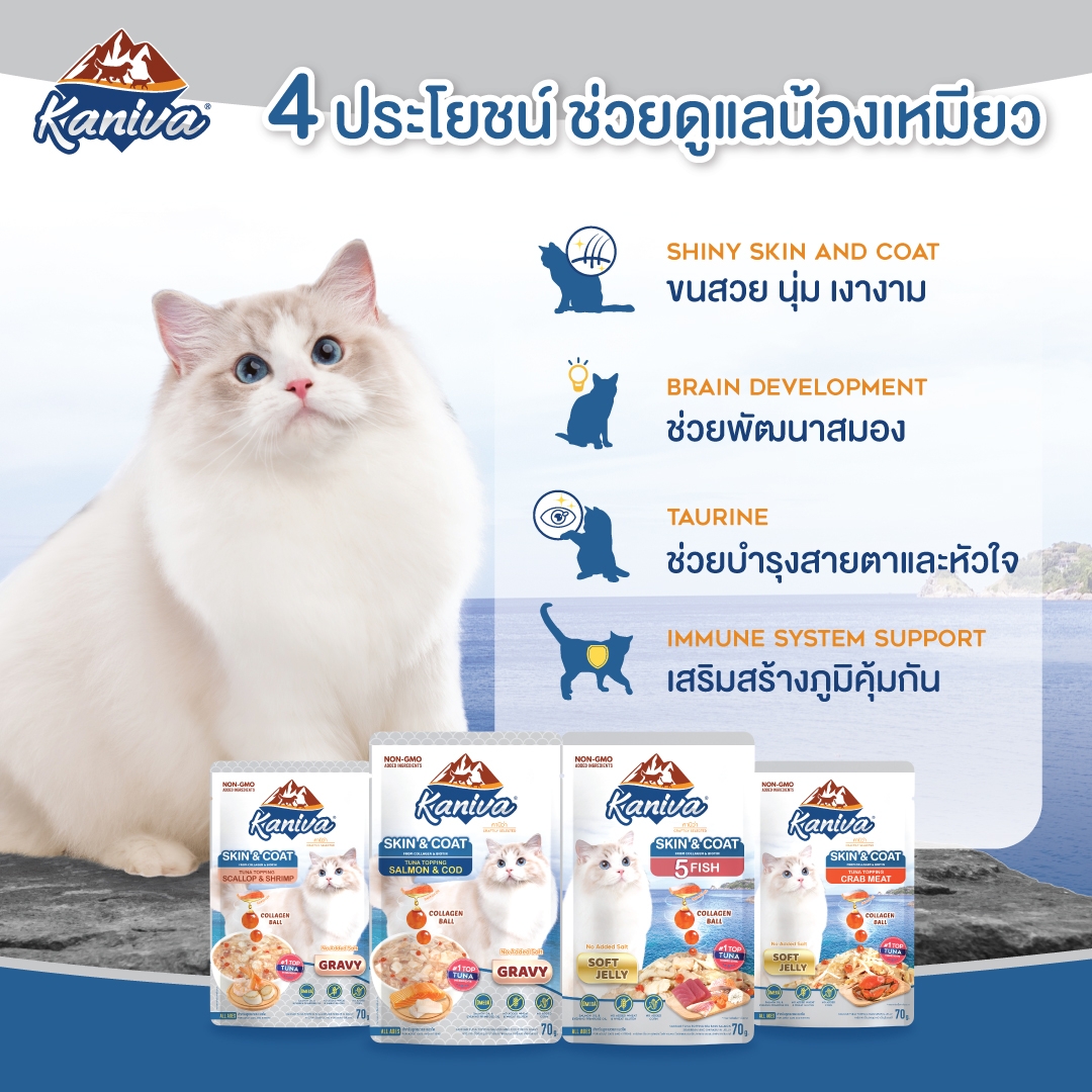 อาหารแมวคานิว่าชนิดเปียก สกินแอนด์โคท สูตรปลาทูน่าหน้าปลาแซลมอนและเนื้อปลาค็อดในน้ำเกรวี่ ผสมคอลลาเจนบอล บำรุงผิวหนังและเส้นขน
