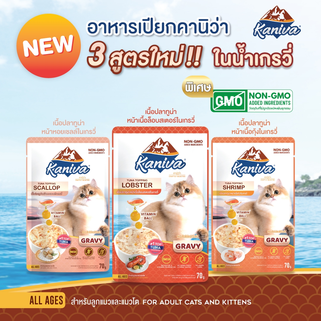 อาหารแมวคานิว่าชนิดเปียก เนื้อปลาทูน่าหน้าเนื้อล็อบสเตอร์ในน้ำเกรวี่ ผสมวิตามินบอล