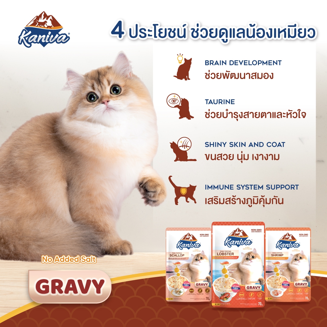 อาหารแมวคานิว่าชนิดเปียก เนื้อปลาทูน่าหน้าเนื้อล็อบสเตอร์ในน้ำเกรวี่ ผสมวิตามินบอล
