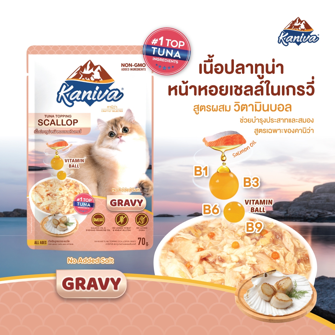 อาหารแมวคานิว่าชนิดเปียก เนื้อปลาทูน่าหน้าหอยเชลล์ในน้ำเกรวี่ ผสมวิตามินบอล