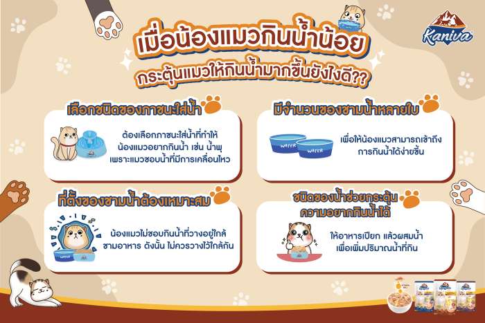 เมื่อน้องแมวกินน้ำน้อย
