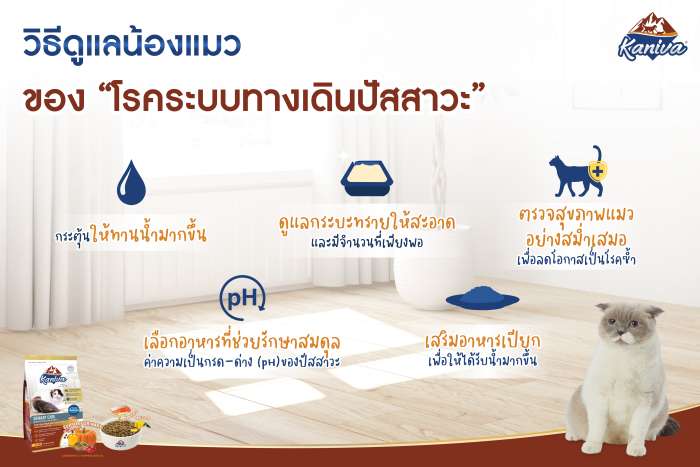 โรคระบบทางเดินปัสสาวะ