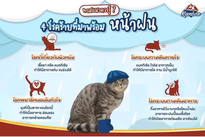 4 โรคร้ายที่มาพร้อมกับหน้าฝน
