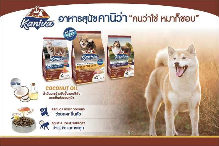 สาเหตุของการเกิดกลิ่นตัวของสุนัข