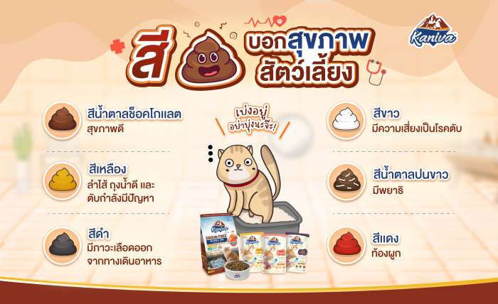 สีอึบอกสุขภาพสัตว์เลี้ยง