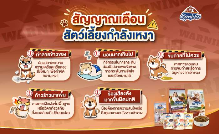 สัญญาณเตือน ว่าสัตว์เลี้ยงกำลังเหงา