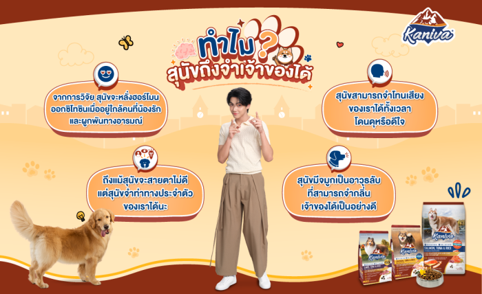 ทำไมสุนัขจึงจำเจ้าของได้