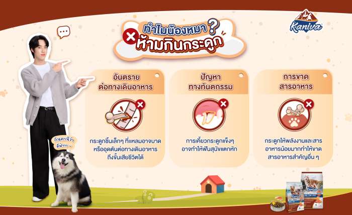 ทำไมน้องหมาห้ามกินกระดูก