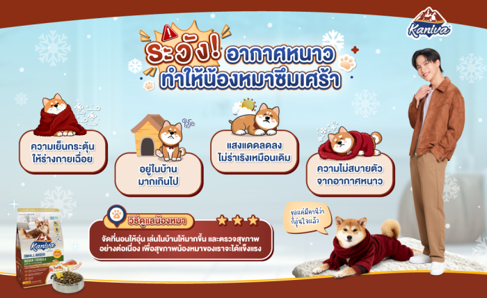 ทำไมอากาศหนาวถึงทำให้น้องหมาดูซึมเศร้า?