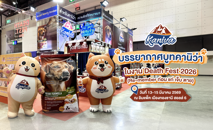 Death Fest 2026 re-member ก่อน-แก่-เจ็บ-ตาย