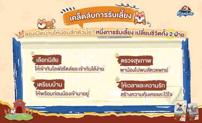 เคล็ดลับการรับเลี้ยงลูกสุนัข 