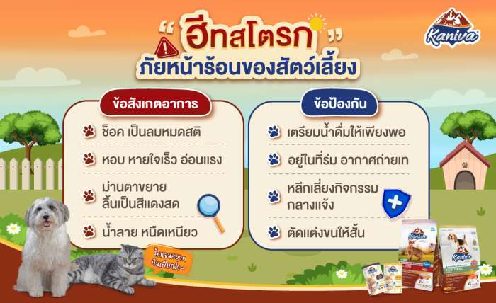 ฮีทสโตรก ภัยหน้าร้อน