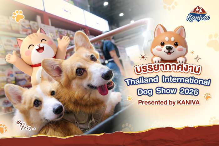 เก็บตกบรรยากาศสุดประทับใจ งาน Thailand International Dog Show 2026 Presented by KANIVA
